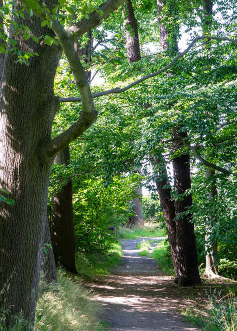 Affiche de l'événement