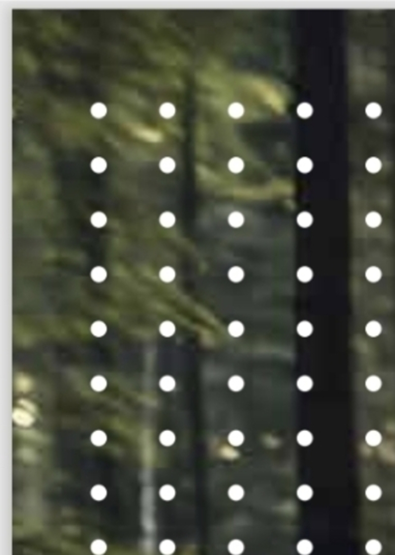 Affiche de l'événement