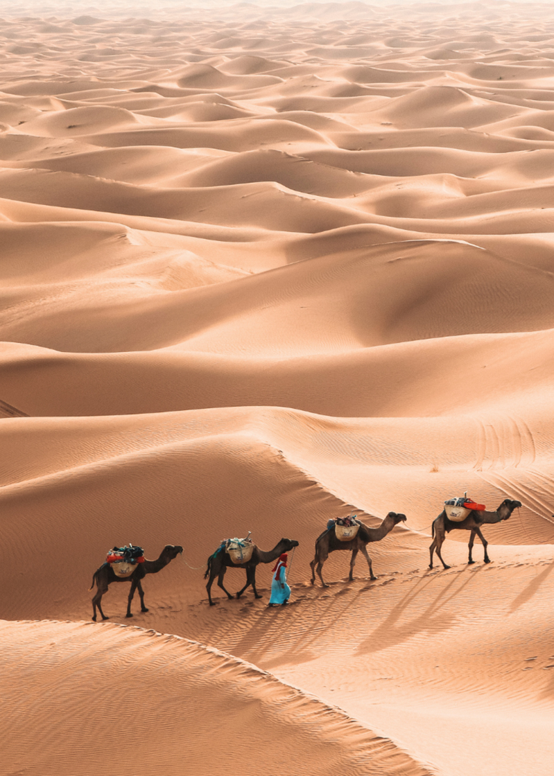 Affiche de l'événement